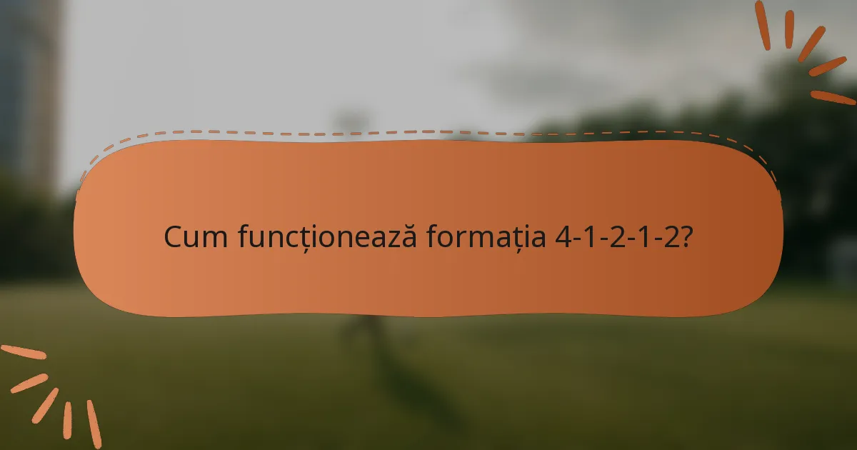 Cum funcționează formația 4-1-2-1-2?